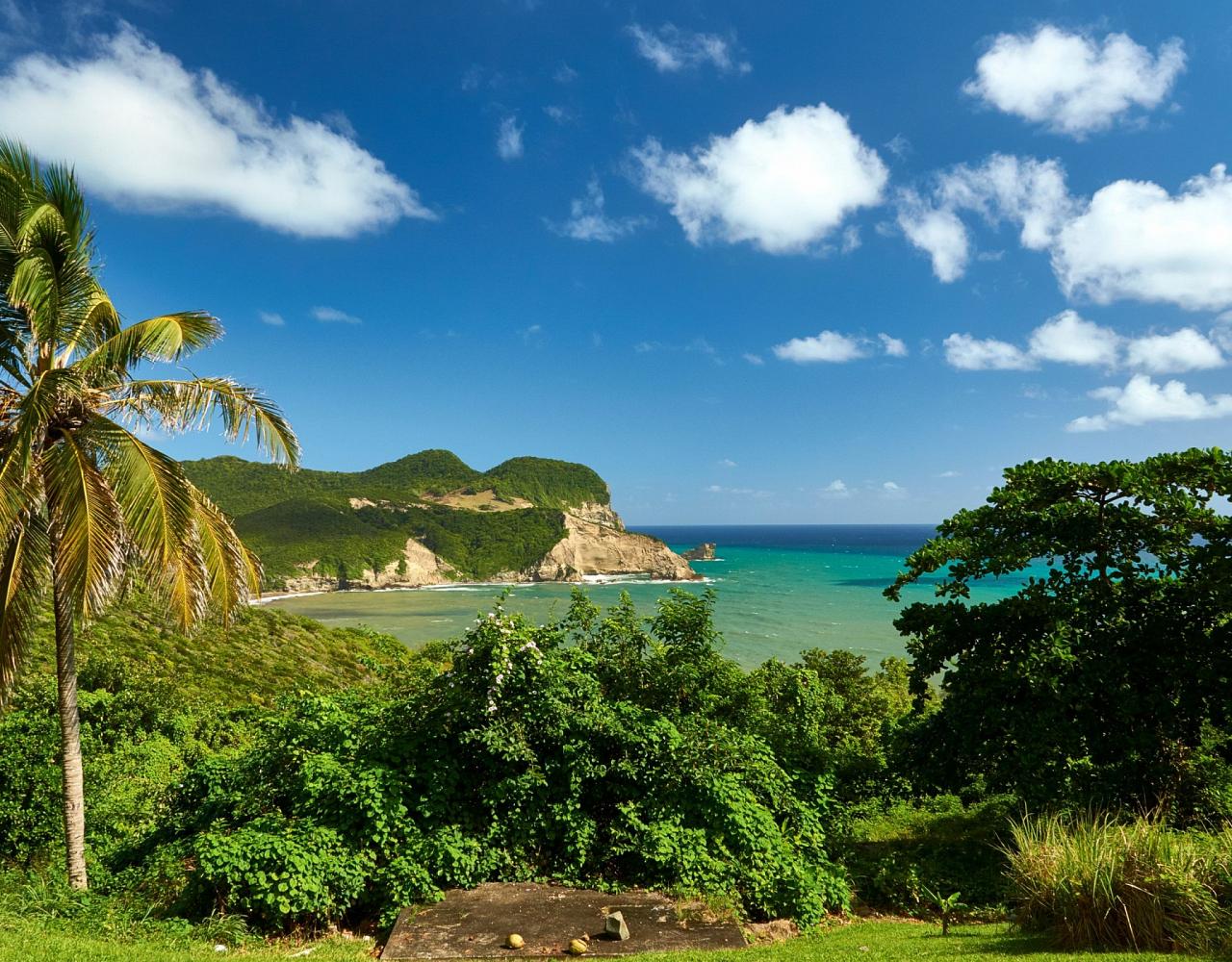 Birding Lesser Antilles, Bird watching, St. Lucia, Dominica, St. Vincent, Naturalist Journeys, Wildlife Tour, Wildlife Photography, Ecotourism, Specialty Birds, Endemic Birds, Birding Hotspot