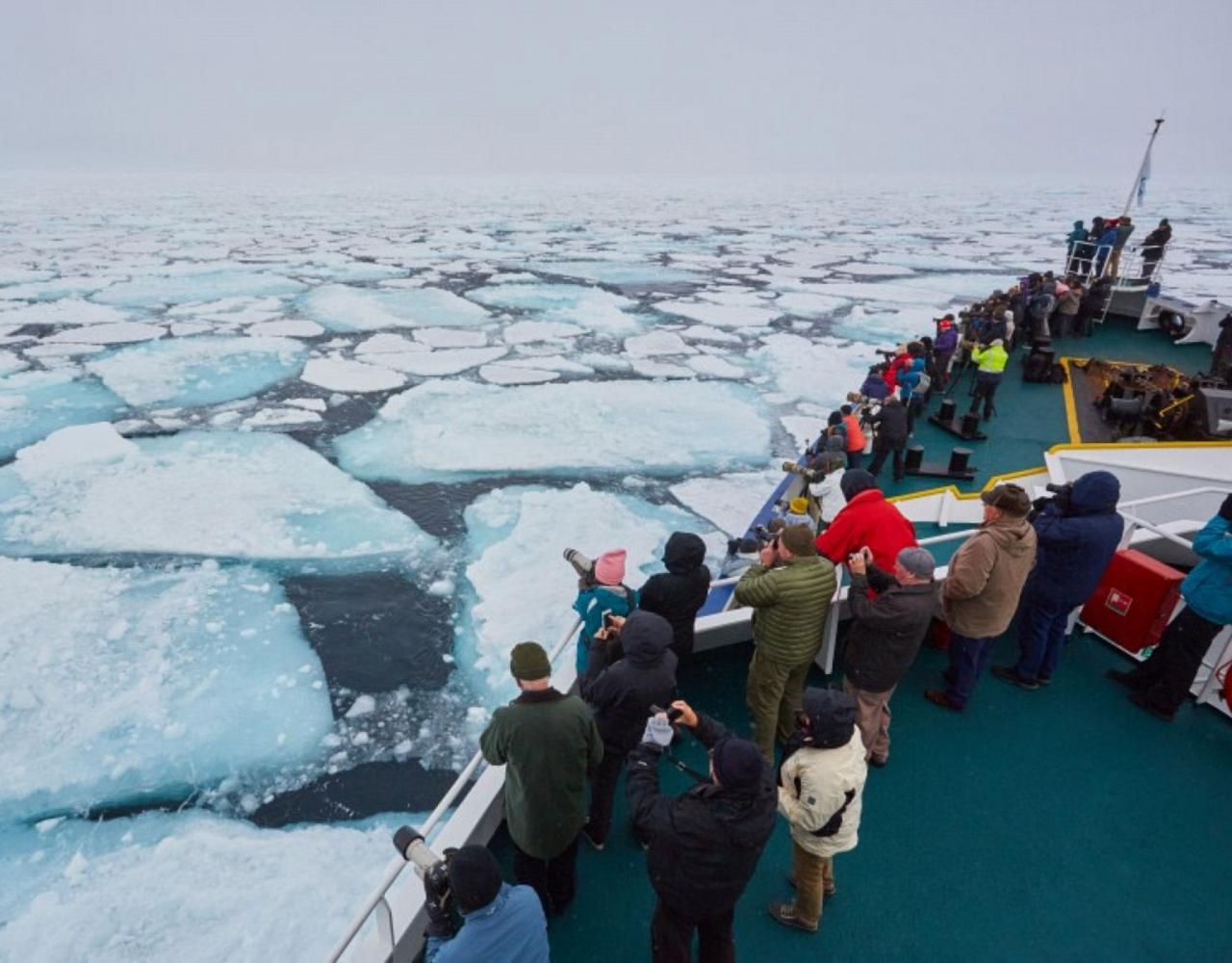 Birding Svalbard, Svalbard Nature, Spitsbergen, Bird watching Svalbard, Polar Region, Naturalist Journeys, Wildlife Tour, Wildlife Photography, Ecotourism, Specialty Birds, Birding Hotspot, Polar Bears