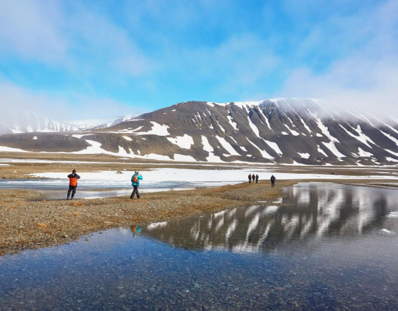 Birding Svalbard, Svalbard Nature, Spitsbergen, Bird watching Svalbard, Polar Region, Naturalist Journeys, Wildlife Tour, Wildlife Photography, Ecotourism, Specialty Birds, Birding Hotspot, Polar Bears