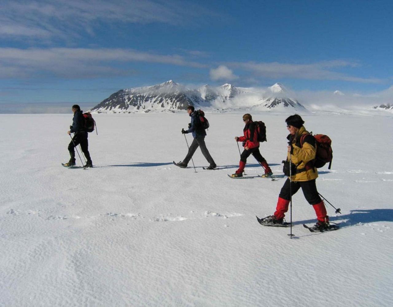 Birding Svalbard, Svalbard Nature, Spitsbergen, Bird watching Svalbard, Polar Region, Naturalist Journeys, Wildlife Tour, Wildlife Photography, Ecotourism, Specialty Birds, Birding Hotspot, Polar Bears