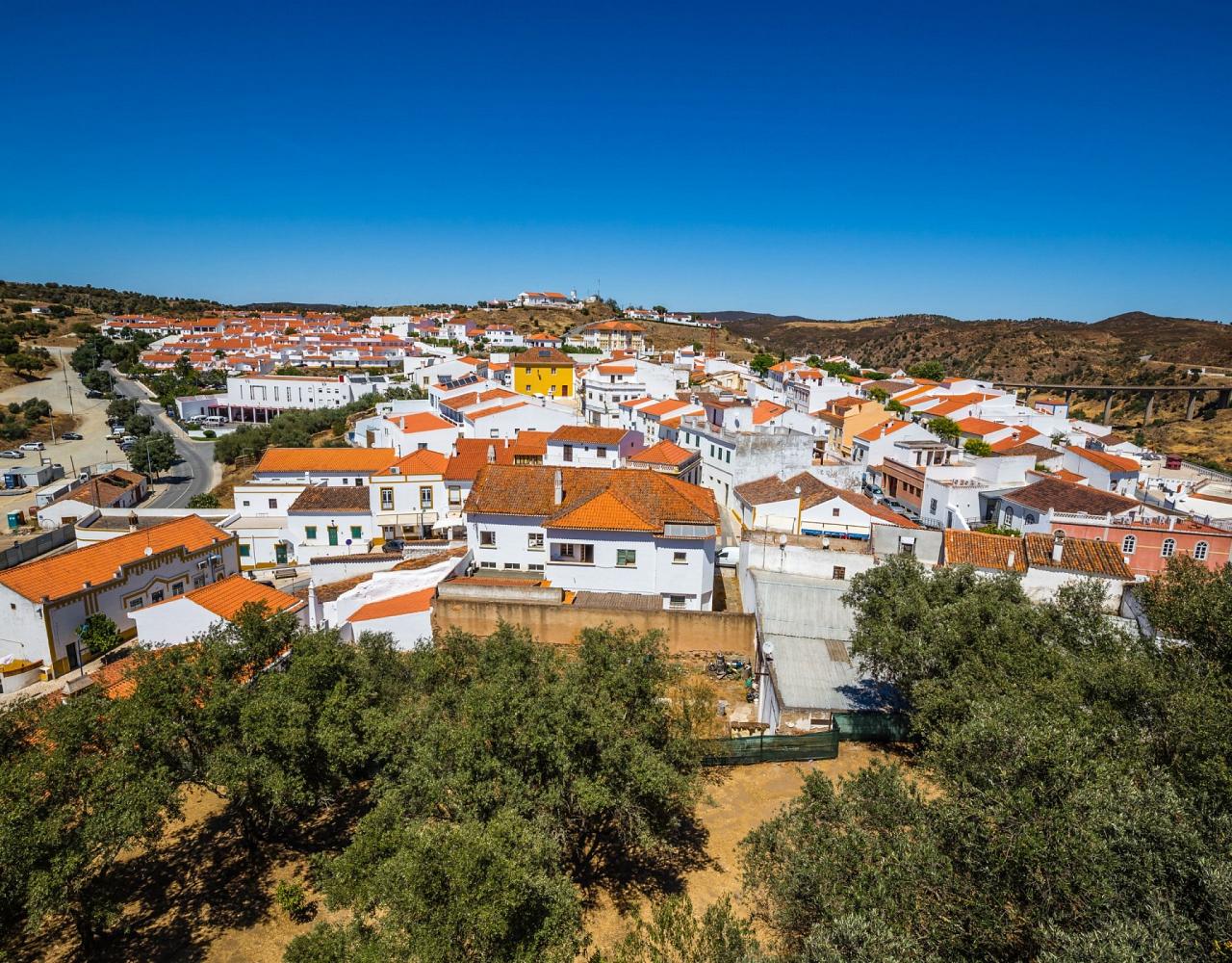 Birding Portugal, Portugal Nature, Bird watching Europe, Fall Migration, Naturalist Journeys, Wildlife Tour, Wildlife Photography, Ecotourism, Specialty Birds, Birding Hotspot, Lisbon, Alentejo