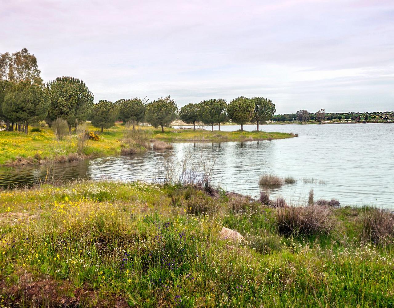 Birding Portugal, Portugal Nature, Bird watching Europe, Fall Migration, Naturalist Journeys, Wildlife Tour, Wildlife Photography, Ecotourism, Specialty Birds, Birding Hotspot, Lisbon, Alentejo