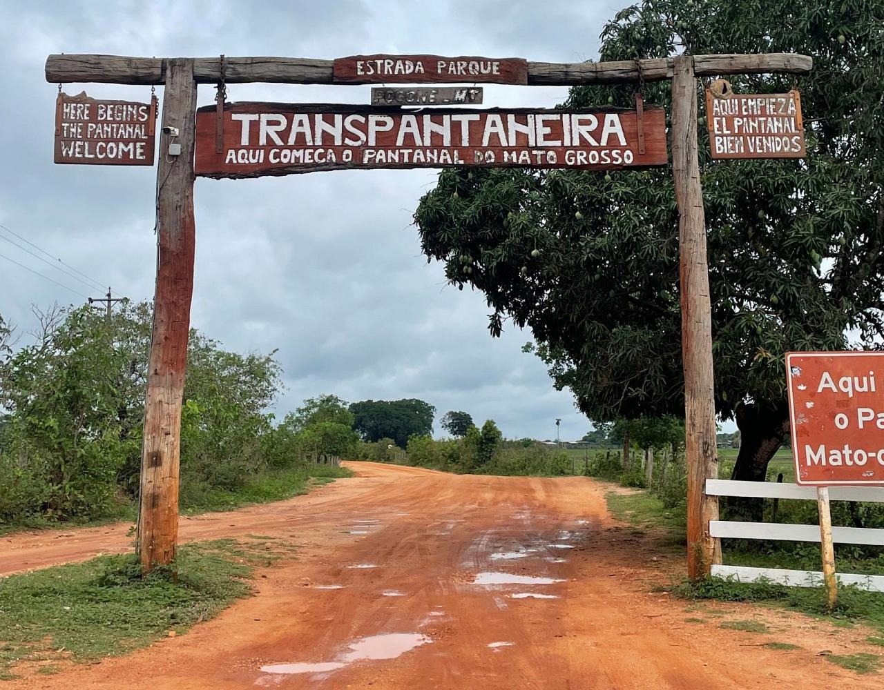 Birding Brazil, Bird watching Brazil, Brazil, South American Birds, Naturalist Journeys, Wildlife Tour, Wildlife Photography, Ecotourism, Specialty Birds, Endemic Birds, Birding Hotspot, Jaguar, Pantanal