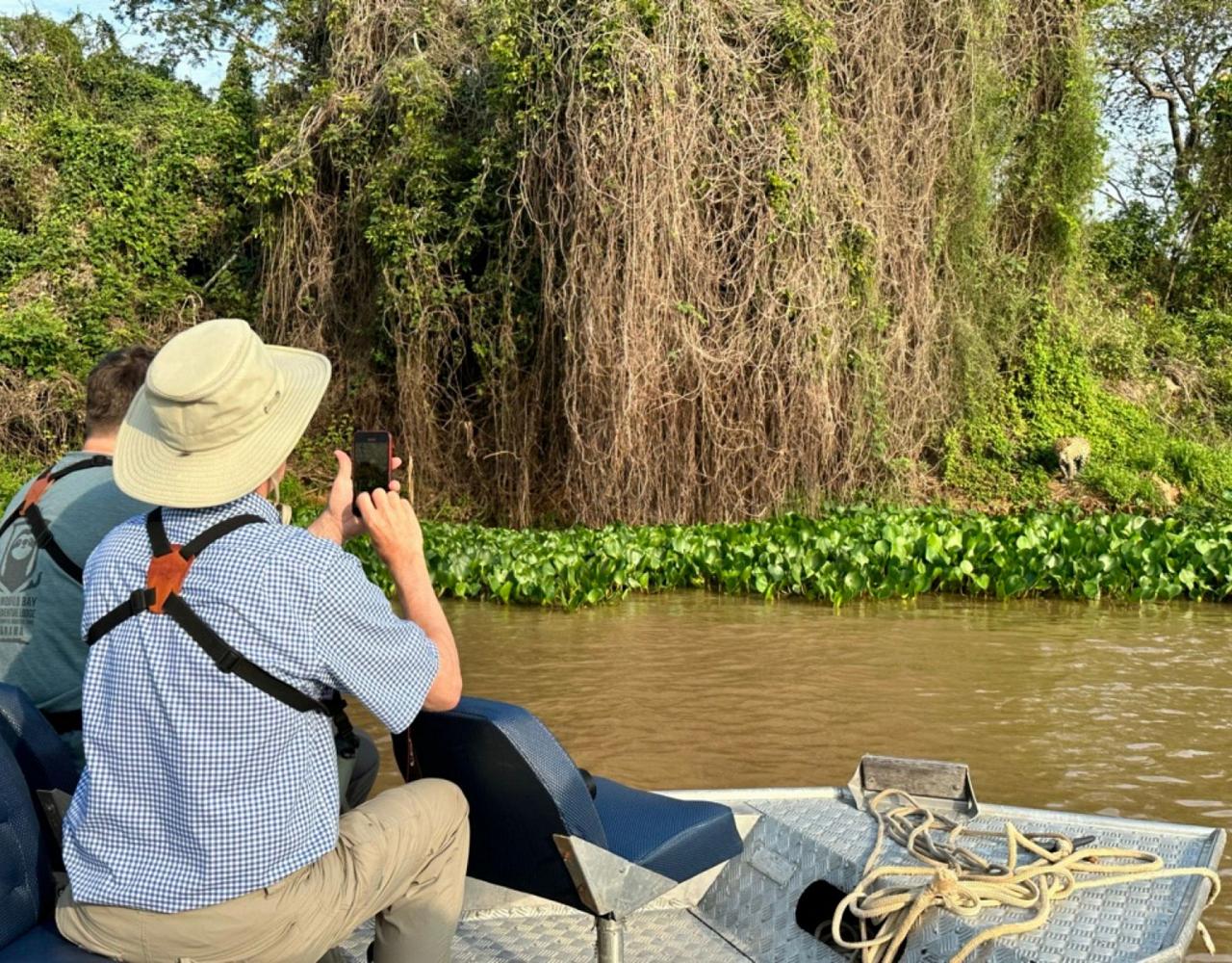 Birding Brazil, Bird watching Brazil, Brazil, South American Birds, Naturalist Journeys, Wildlife Tour, Wildlife Photography, Ecotourism, Specialty Birds, Endemic Birds, Birding Hotspot, Jaguar, Pantanal