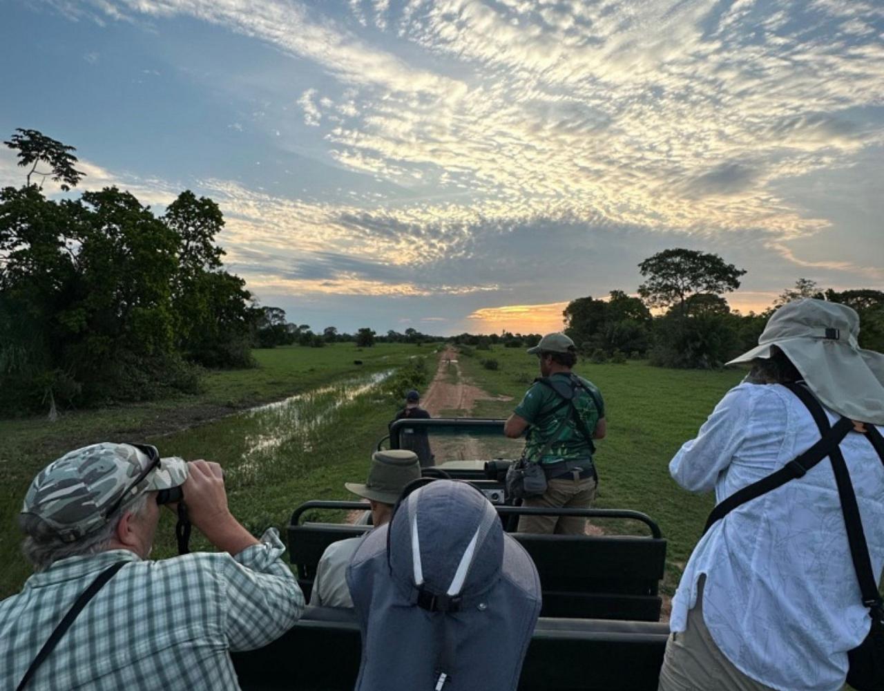 Birding Brazil, Bird watching Brazil, Brazil, South American Birds, Naturalist Journeys, Wildlife Tour, Wildlife Photography, Ecotourism, Specialty Birds, Endemic Birds, Birding Hotspot, Jaguar, Pantanal