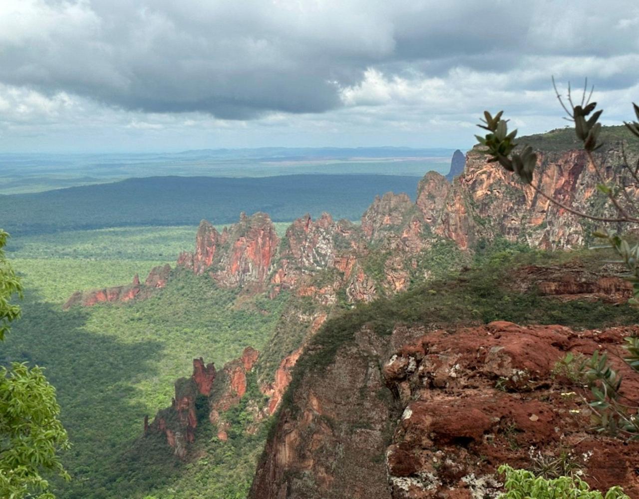 Birding Brazil, Bird watching Brazil, Brazil, South American Birds, Naturalist Journeys, Wildlife Tour, Wildlife Photography, Ecotourism, Specialty Birds, Endemic Birds, Birding Hotspot, Jaguar, Pantanal