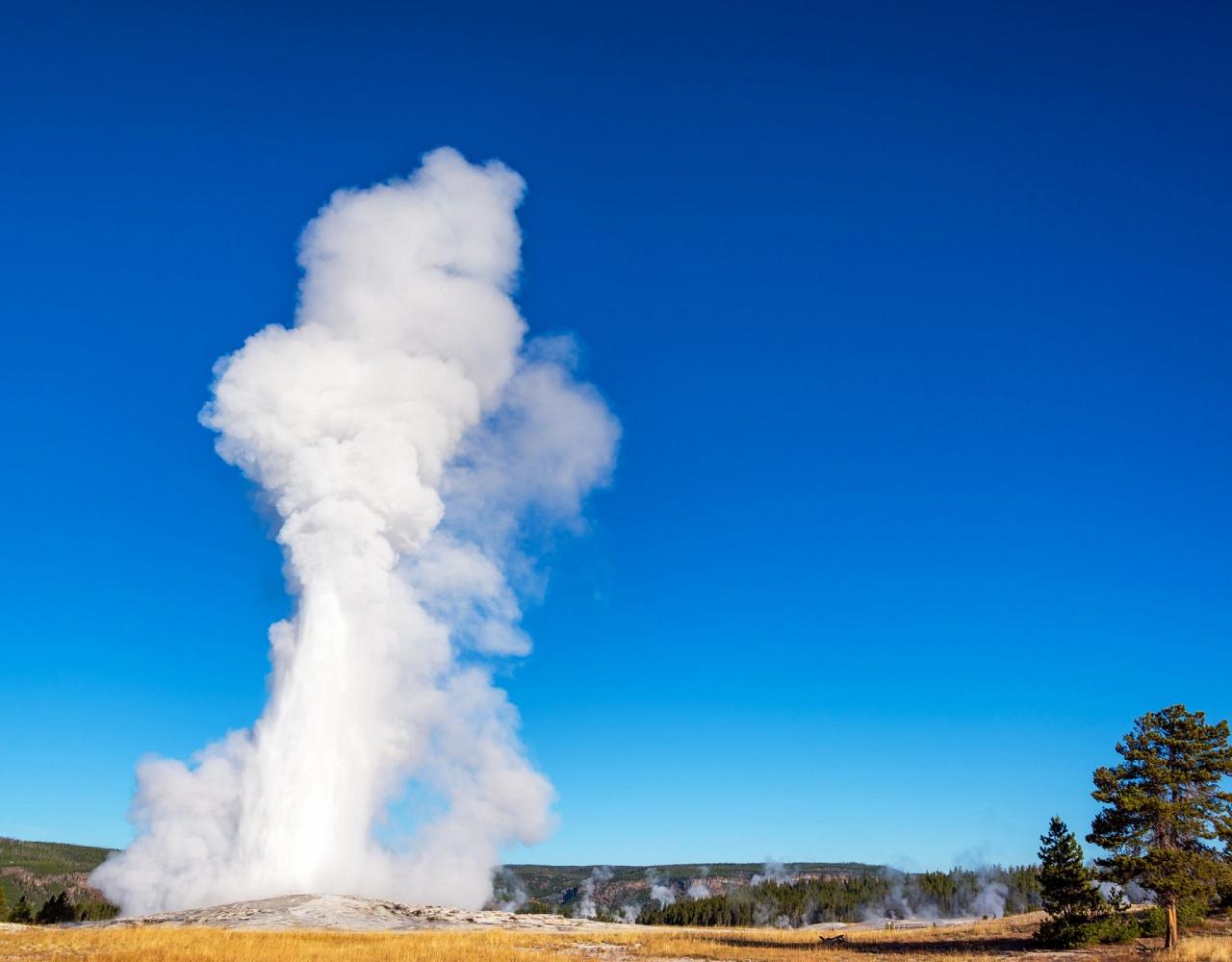 Birding Yellowstone, Birding North America, Bird watching Yellowstone, Wyoming, Nature Tour, Naturalist Journeys, Wildlife Tour, Wildlife Photography, Ecotourism, Specialty Birds, Birding Hotspot, Yellowstone National Park