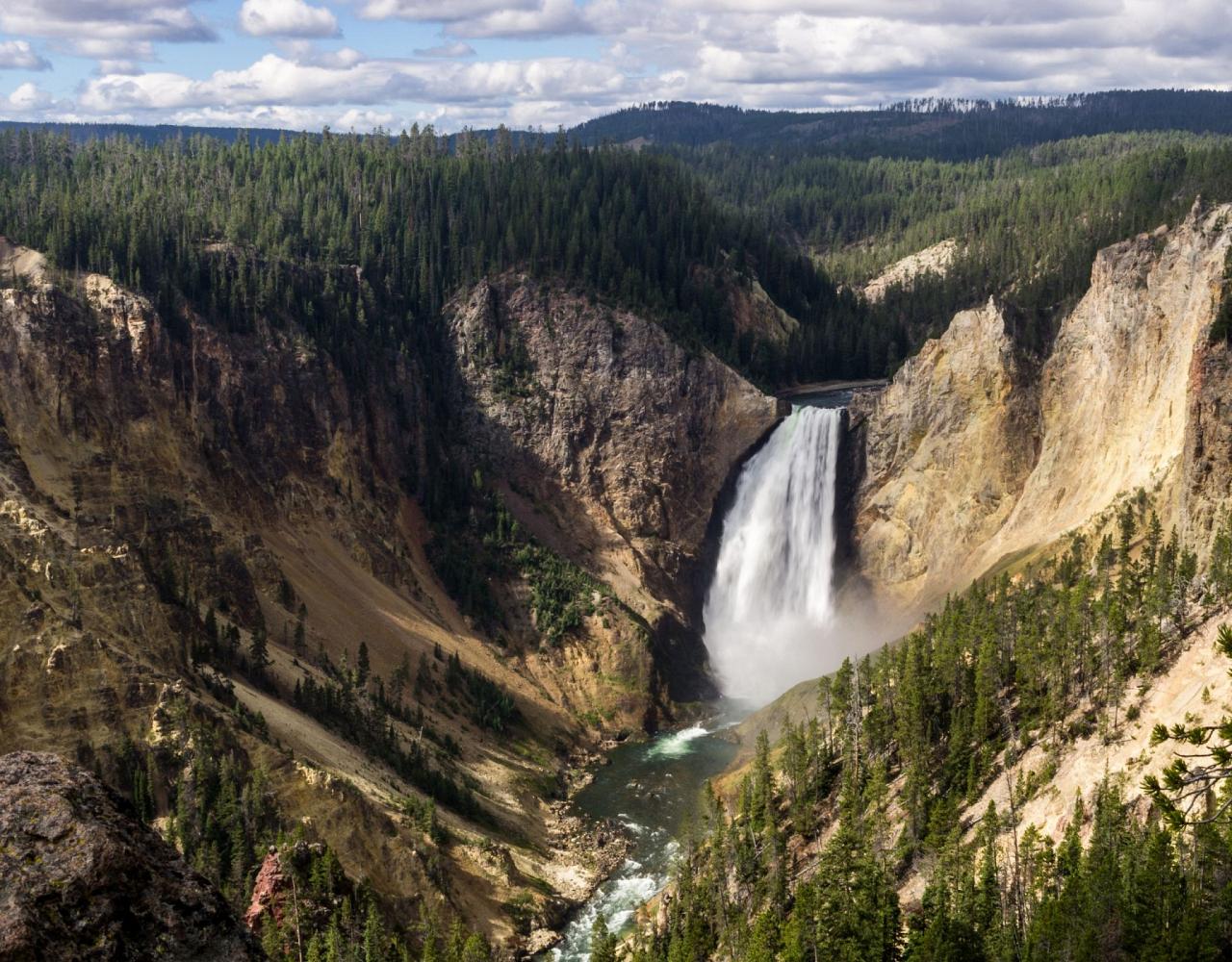 Birding Yellowstone, Birding North America, Bird watching Yellowstone, Wyoming, Nature Tour, Naturalist Journeys, Wildlife Tour, Wildlife Photography, Ecotourism, Specialty Birds, Birding Hotspot, Yellowstone National Park