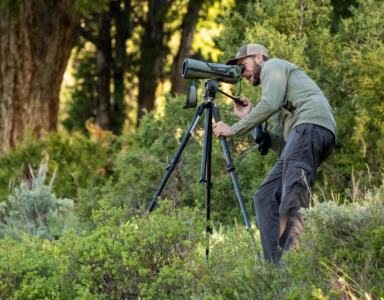 Birding Yellowstone, Birding North America, Bird watching Yellowstone, Wyoming, Nature Tour, Naturalist Journeys, Wildlife Tour, Wildlife Photography, Ecotourism, Specialty Birds, Birding Hotspot, Yellowstone National Park