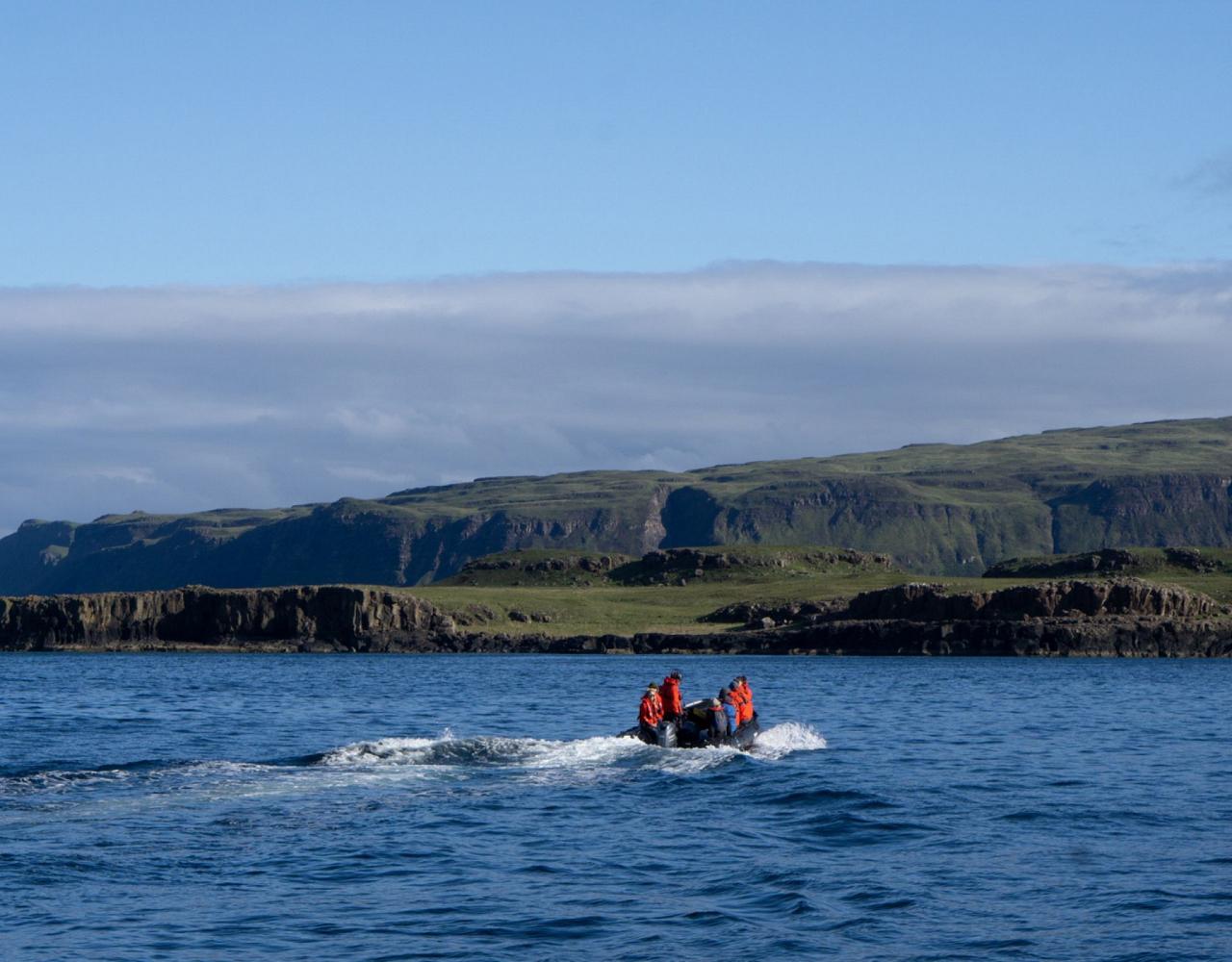 Birding Scotland, Bird Watching Scotland, United Kingdom, Scottish Isles, Naturalist Journeys, Wildlife Tour, Wildlife Photography, Ecotourism, Specialty Birds, Endemic Birds, Birding Hotspot, Cruise, Puffin