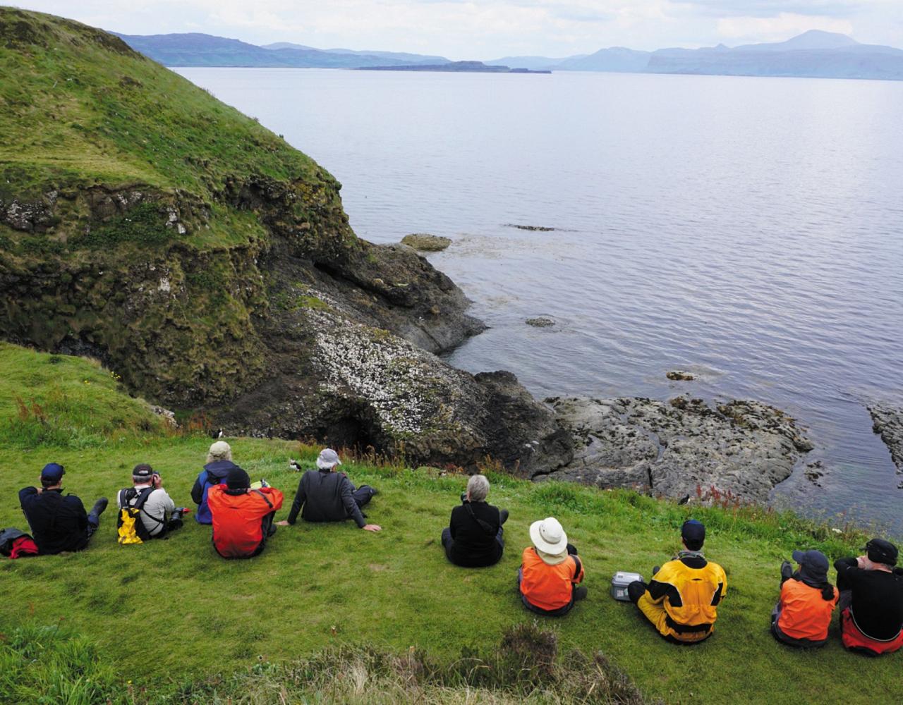 Birding Scotland, Bird Watching Scotland, United Kingdom, Scottish Isles, Naturalist Journeys, Wildlife Tour, Wildlife Photography, Ecotourism, Specialty Birds, Endemic Birds, Birding Hotspot, Cruise, Puffin