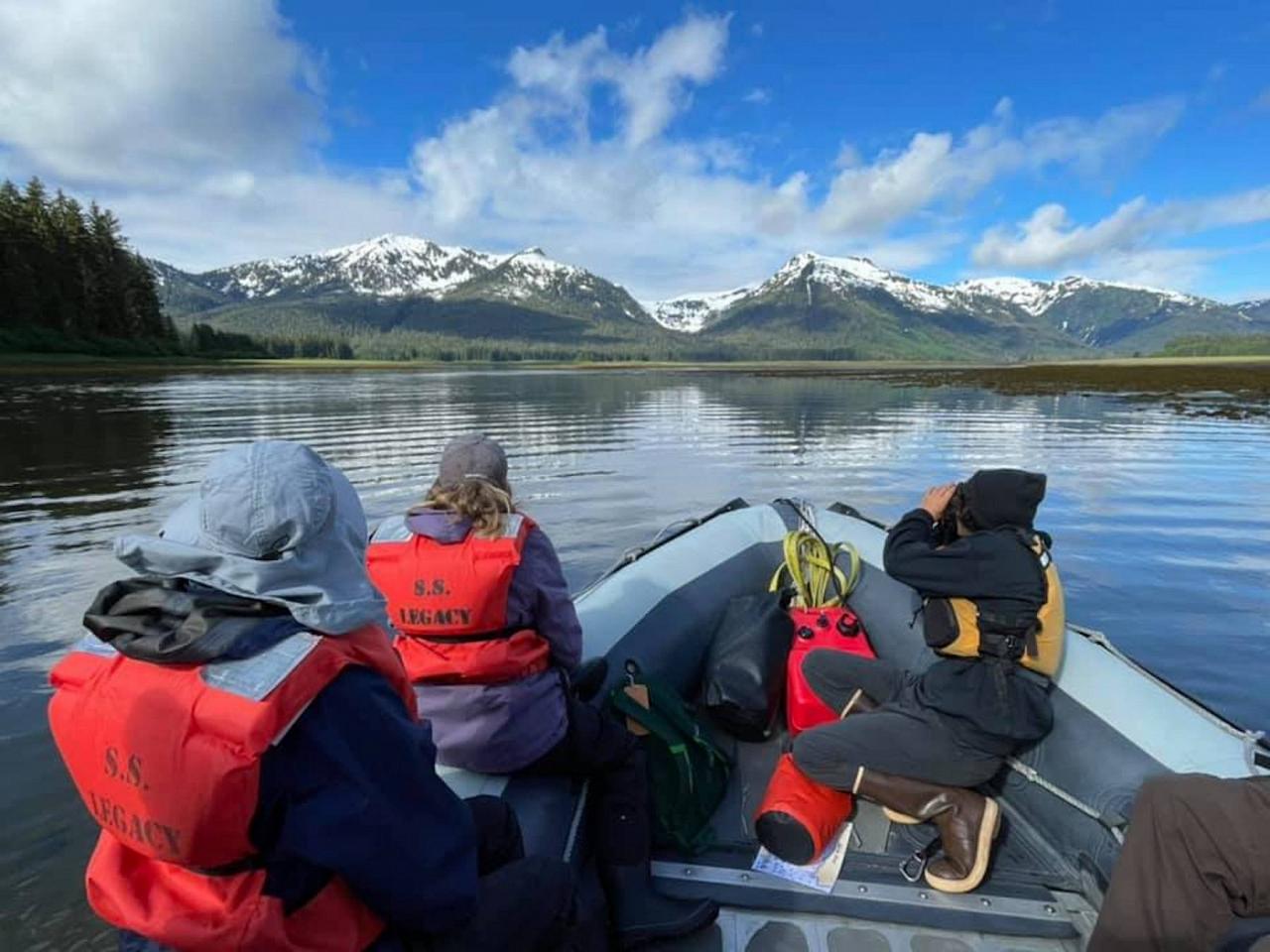 Bear Watching, Alaska, Southeast Alaska, Southeast Alaska Cruise, Alaska Birding, Alaska Nature, Alaska Nature Tour, Alaska Birding Tour, Alaska Nature Cruise, Naturalist Journeys