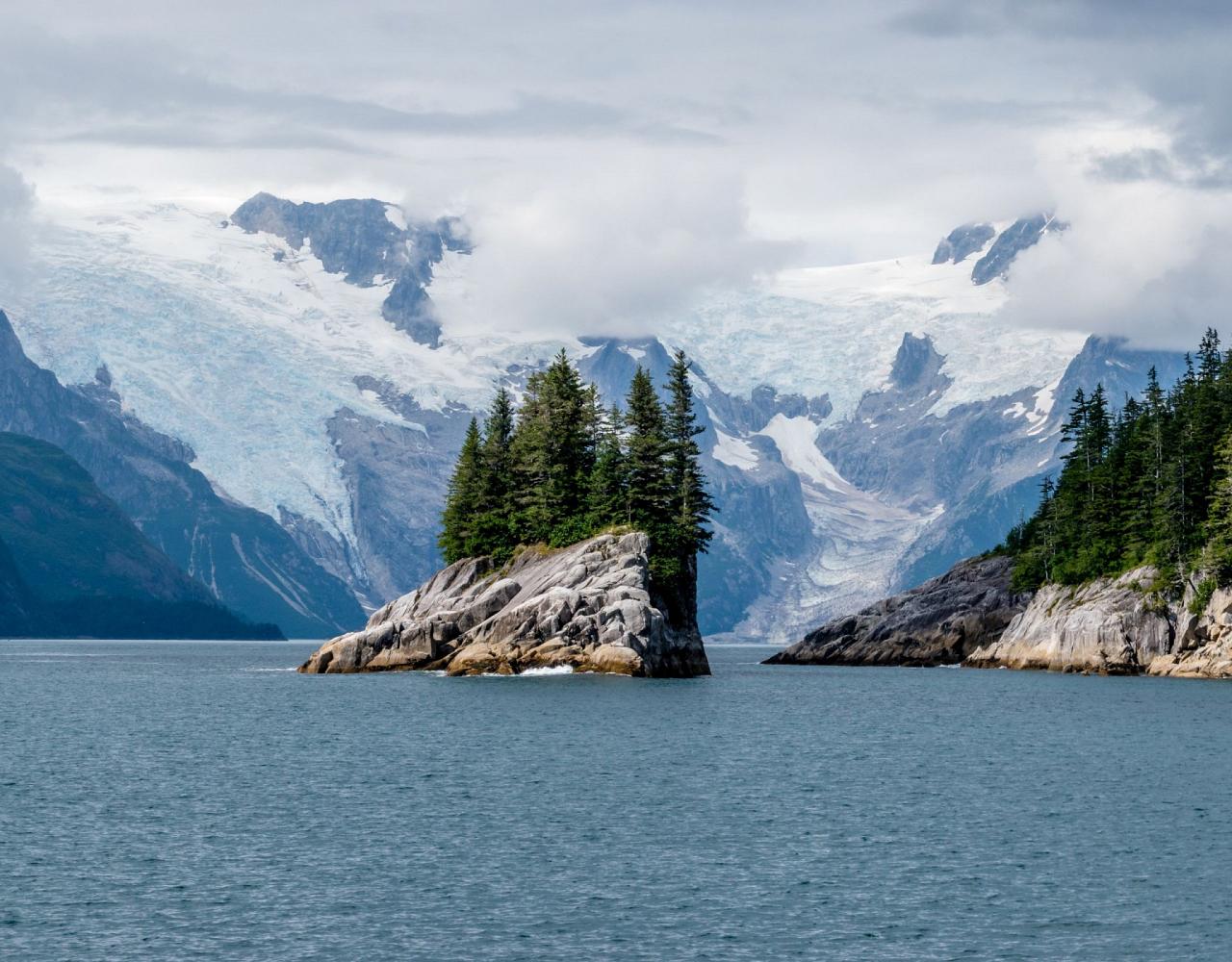 Birding Alaska, Alaskan Cruise, Bird Watching Alaska, Birding North America, Naturalist Journeys, Wildlife Tour, Wildlife Photography, Ecotourism, Specialty Birds, Endemic Birds, Birding Hotspot, Whale Watching