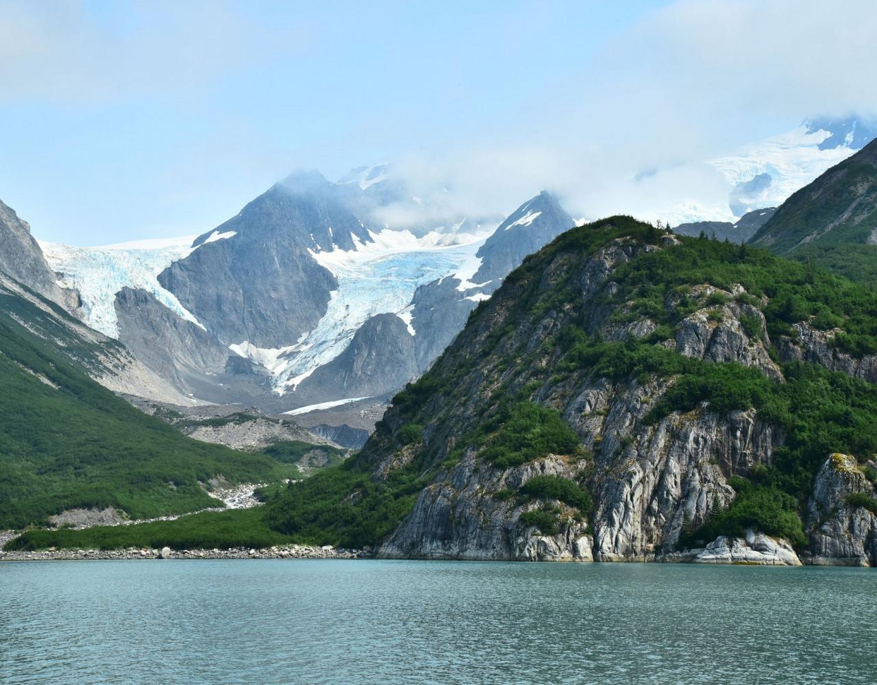 Birding Alaska, Alaskan Cruise, Bird Watching Alaska, Birding North America, Naturalist Journeys, Wildlife Tour, Wildlife Photography, Ecotourism, Specialty Birds, Endemic Birds, Birding Hotspot, Whale Watching