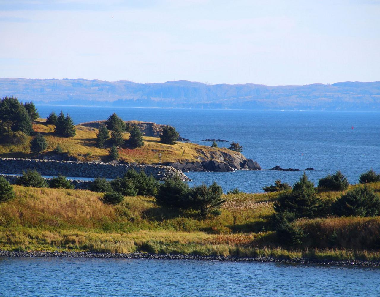 Birding Alaska, Alaskan Cruise, Bird Watching Alaska, Birding North America, Naturalist Journeys, Wildlife Tour, Wildlife Photography, Ecotourism, Specialty Birds, Endemic Birds, Birding Hotspot, Whale Watching