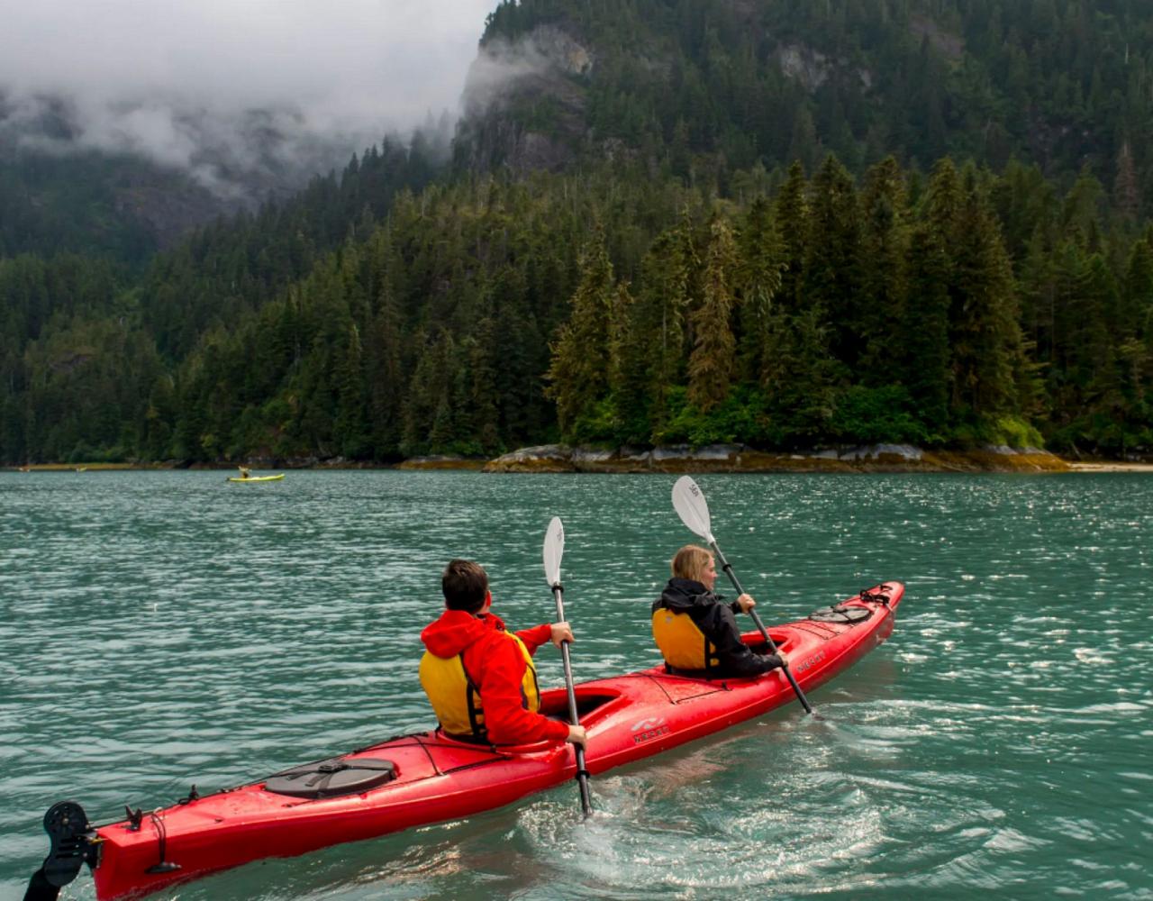 Birding Alaska, Alaskan Cruise, Bird Watching Alaska, Birding North America, Naturalist Journeys, Wildlife Tour, Wildlife Photography, Ecotourism, Specialty Birds, Endemic Birds, Birding Hotspot, Whale Watching