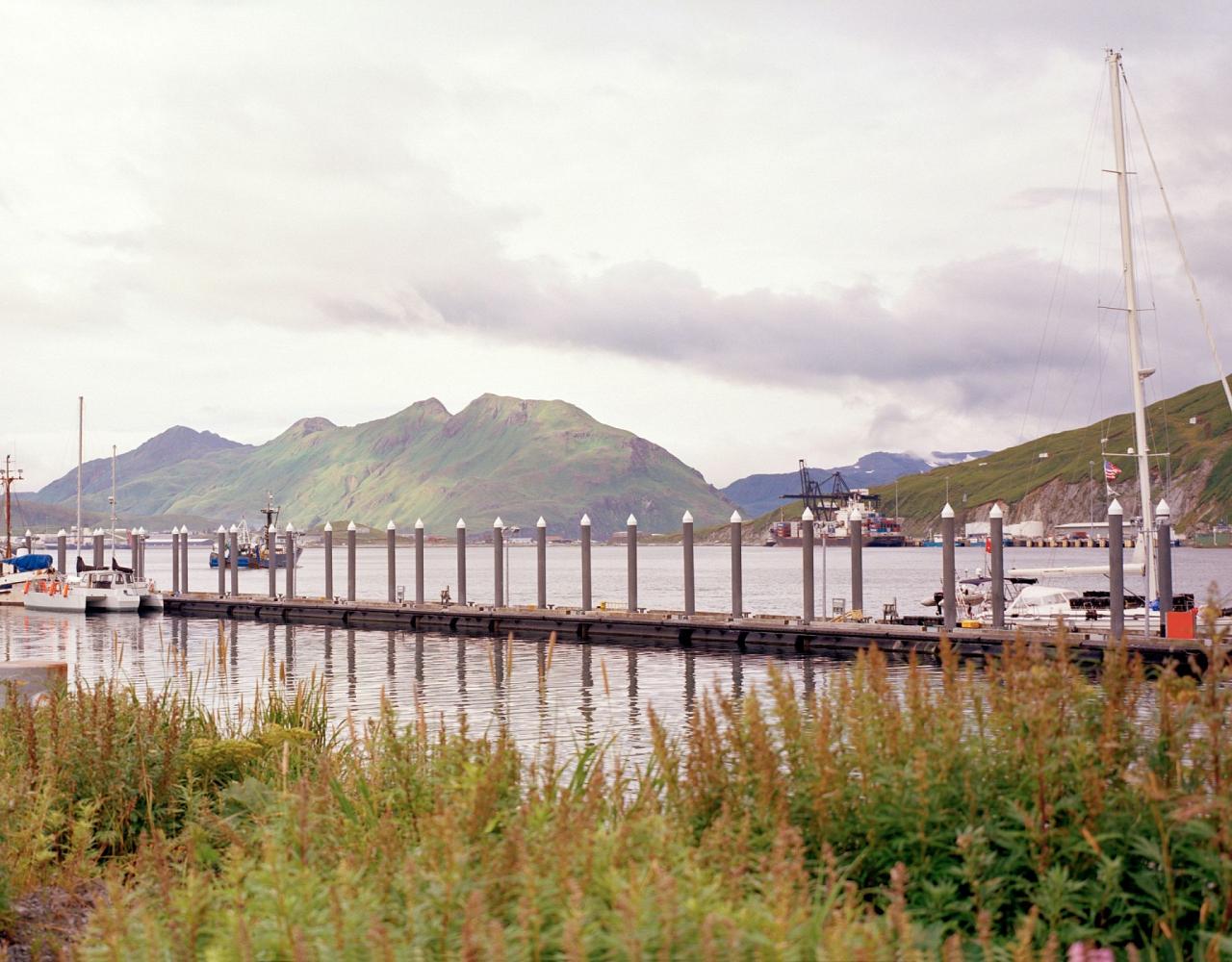 Birding Alaska, Alaskan Cruise, Bird Watching Alaska, Birding North America, Naturalist Journeys, Wildlife Tour, Wildlife Photography, Ecotourism, Specialty Birds, Endemic Birds, Birding Hotspot, Whale Watching