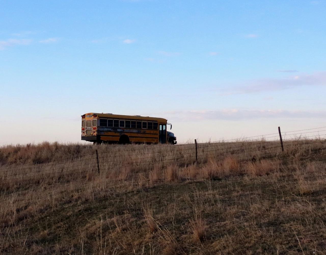 Birding Nebraska, Platte River, Bird watching Nebraska, Audubon Rowe Sanctuary, Naturalist Journeys, Wildlife Tour, Wildlife Photography, Ecotourism, Specialty Birds, Birding Hotspot, Sandhill Cranes