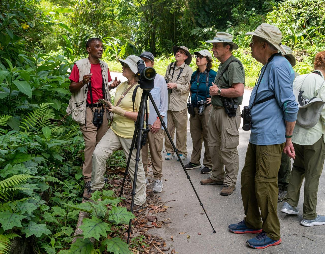 Birding Trinidad, Bird watching Trinidad, South American birds, Naturalist Journeys, Wildlife Tour, Wildlife Photography, Ecotourism, Specialty Birds, Endemic Birds, Birding Hotspot, Asa Wright Nature Center