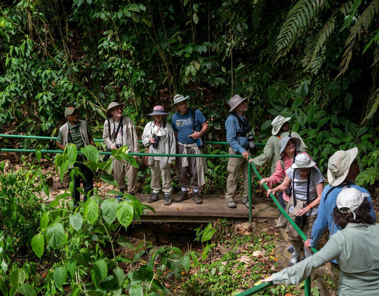 Birding Trinidad, Bird watching Trinidad, South American birds, Naturalist Journeys, Wildlife Tour, Wildlife Photography, Ecotourism, Specialty Birds, Endemic Birds, Birding Hotspot, Asa Wright Nature Center