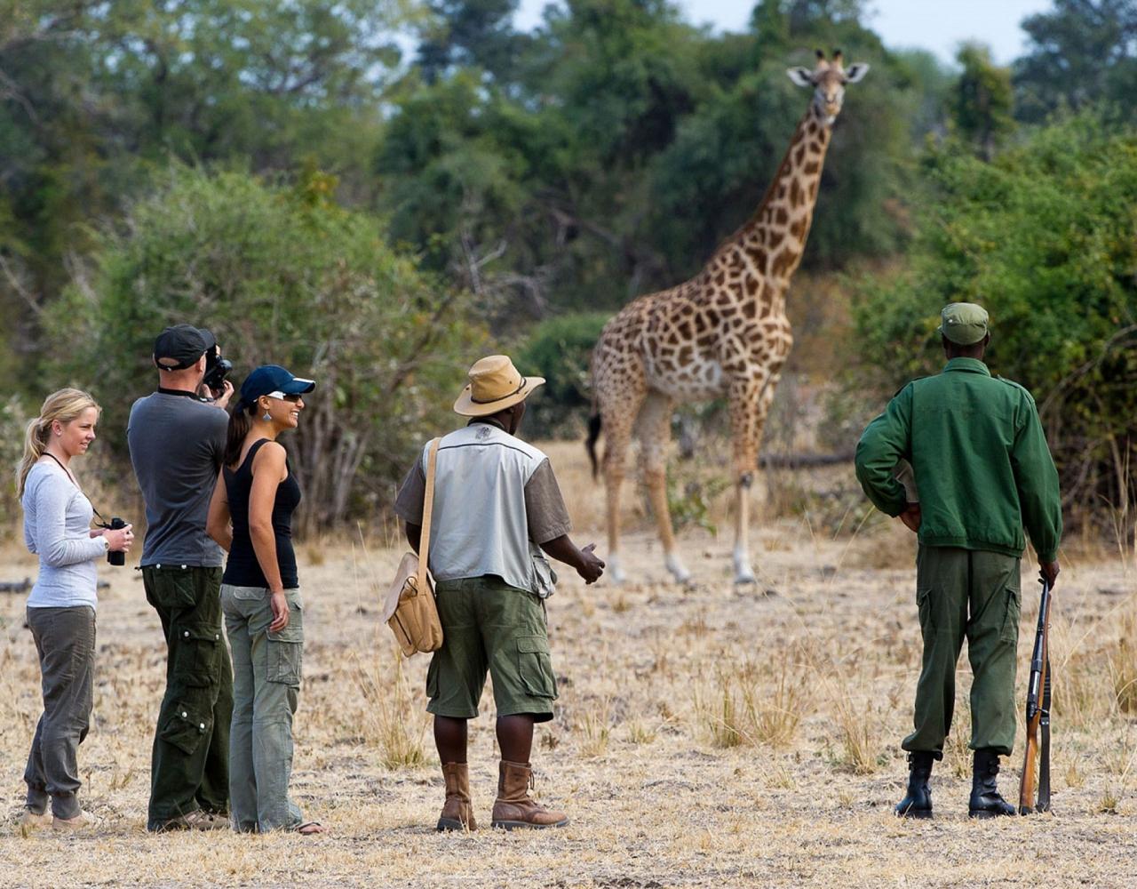 Birding Zimbabwe, Bird watching Zambia, Africa, African Safari Journeys, Wildlife Tour, Wildlife Photography, Ecotourism, Specialty Birds, Birding Hotspot