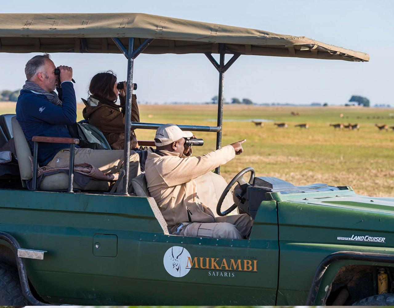 Birding Zimbabwe, Bird watching Zambia, Africa, African Safari Journeys, Wildlife Tour, Wildlife Photography, Ecotourism, Specialty Birds, Birding Hotspot