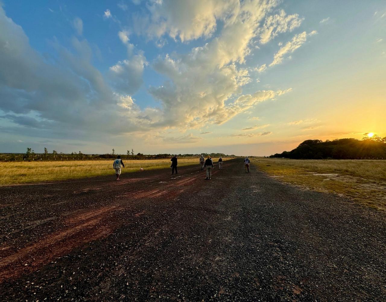 Birding Guyana, Bird Watching Guyana, Birding South America, Naturalist Journeys, Wildlife Tour, Wildlife Photography, Ecotourism, Specialty Birds, Endemic Birds, Birding Hotspot