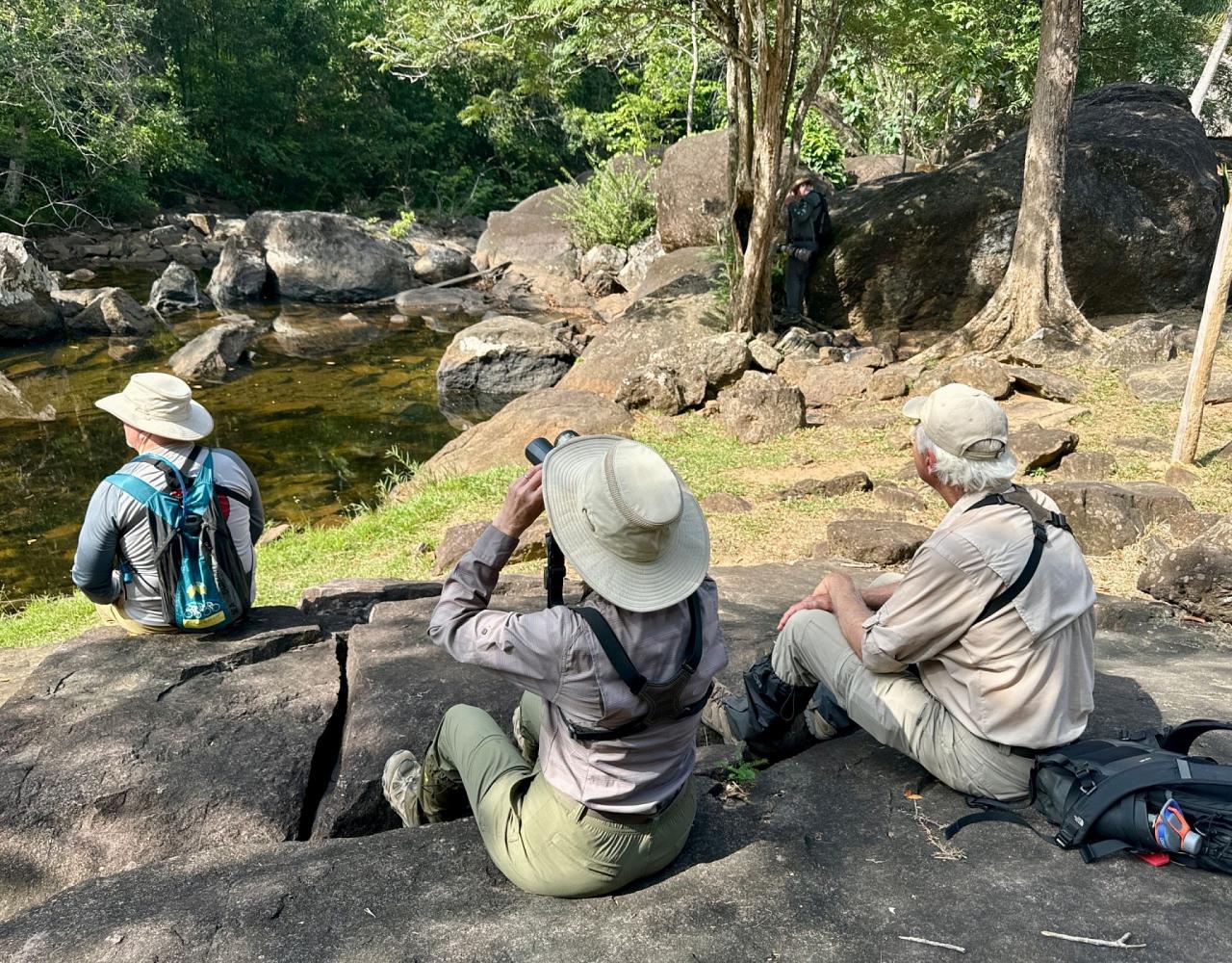 Birding Guyana, Bird Watching Guyana, Birding South America, Naturalist Journeys, Wildlife Tour, Wildlife Photography, Ecotourism, Specialty Birds, Endemic Birds, Birding Hotspot