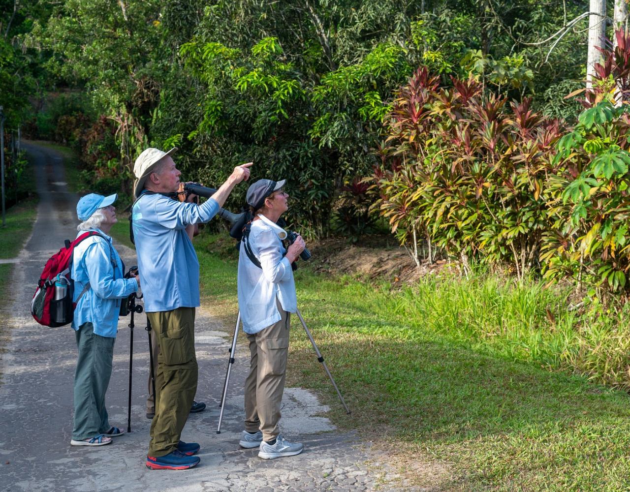 Birding Trinidad & Tobago, Bird watching Trinidad & Tobago, Naturalist Journeys, Wildlife Tour, Wildlife Photography, Ecotourism, Specialty Birds, Birding Hotspot, Asa Wright Nature Center