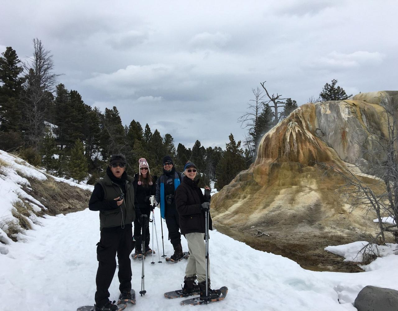 Birding Yellowstone, Wolf Watching Yellowstone, National Park, Naturalist Journeys, Wildlife Tour, Wildlife Photography, Ecotourism, Specialty Birds, Yellowstone National Park