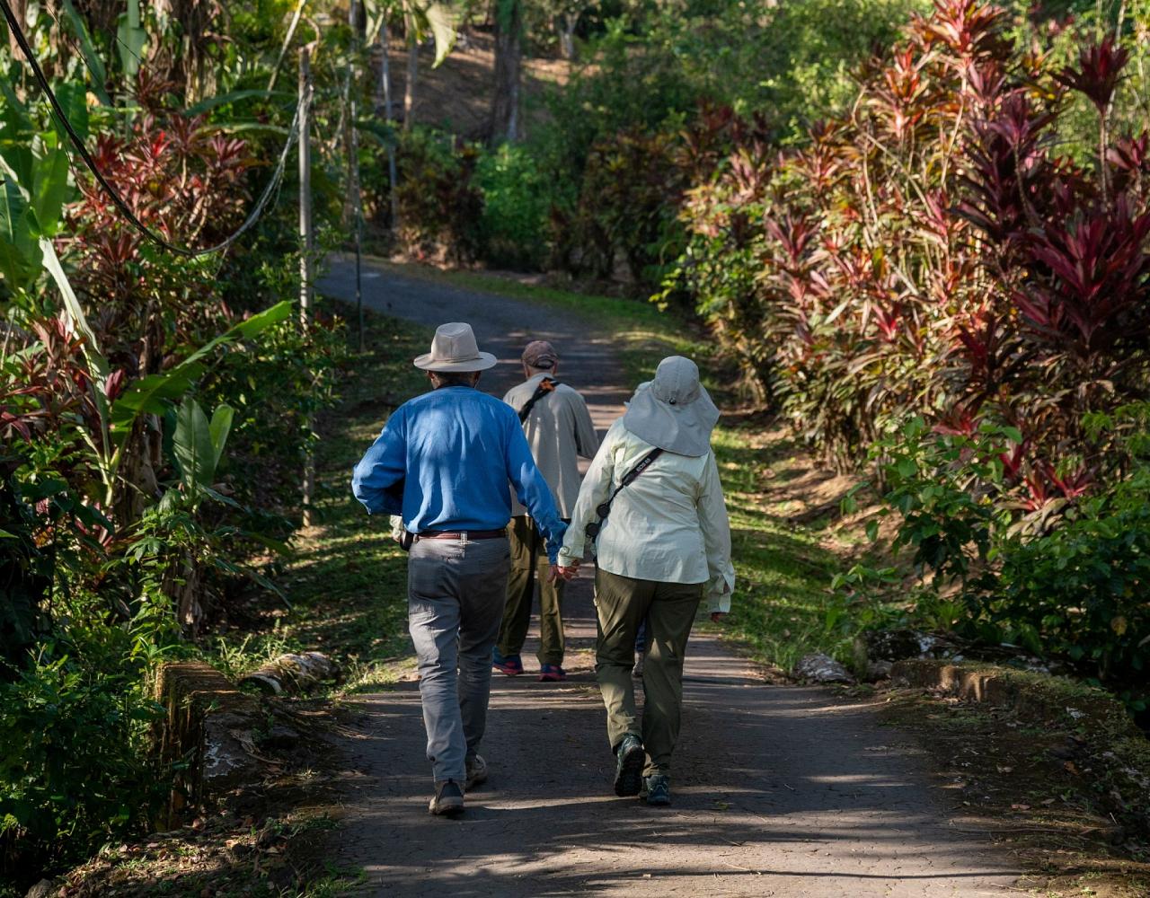 Birding Trinidad & Tobago, Bird watching Trinidad & Tobago, Naturalist Journeys, Wildlife Tour, Wildlife Photography, Ecotourism, Specialty Birds, Birding Hotspot, Asa Wright Nature Center