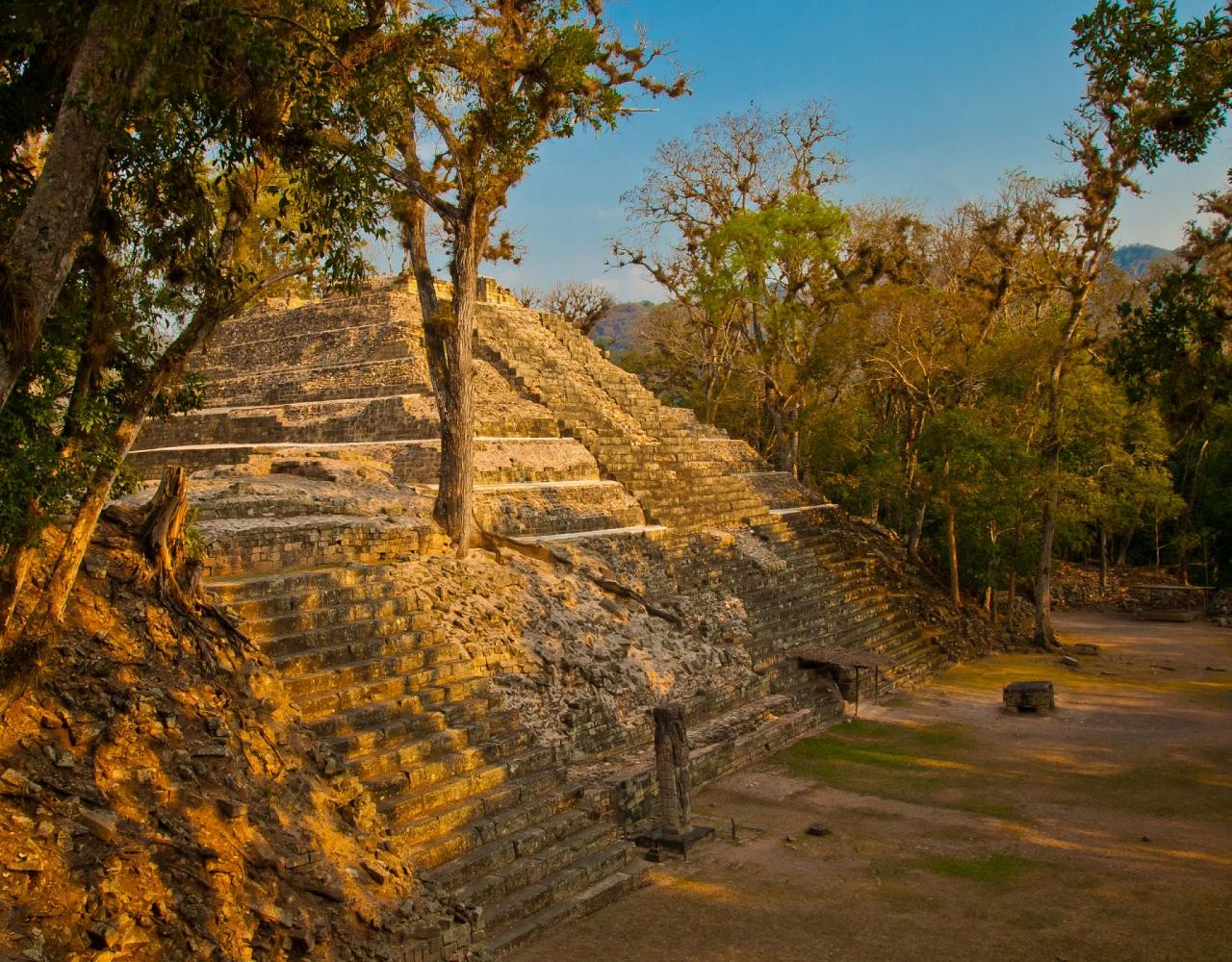 Birding Honduras, Bird Watching Honduras, Central American Birds, Naturalist Journeys, Wildlife Tour, Wildlife Photography, Ecotourism, Specialty Birds, Endemic Birds, Birding Hotspot, Copan Ruins, Maya Ruins