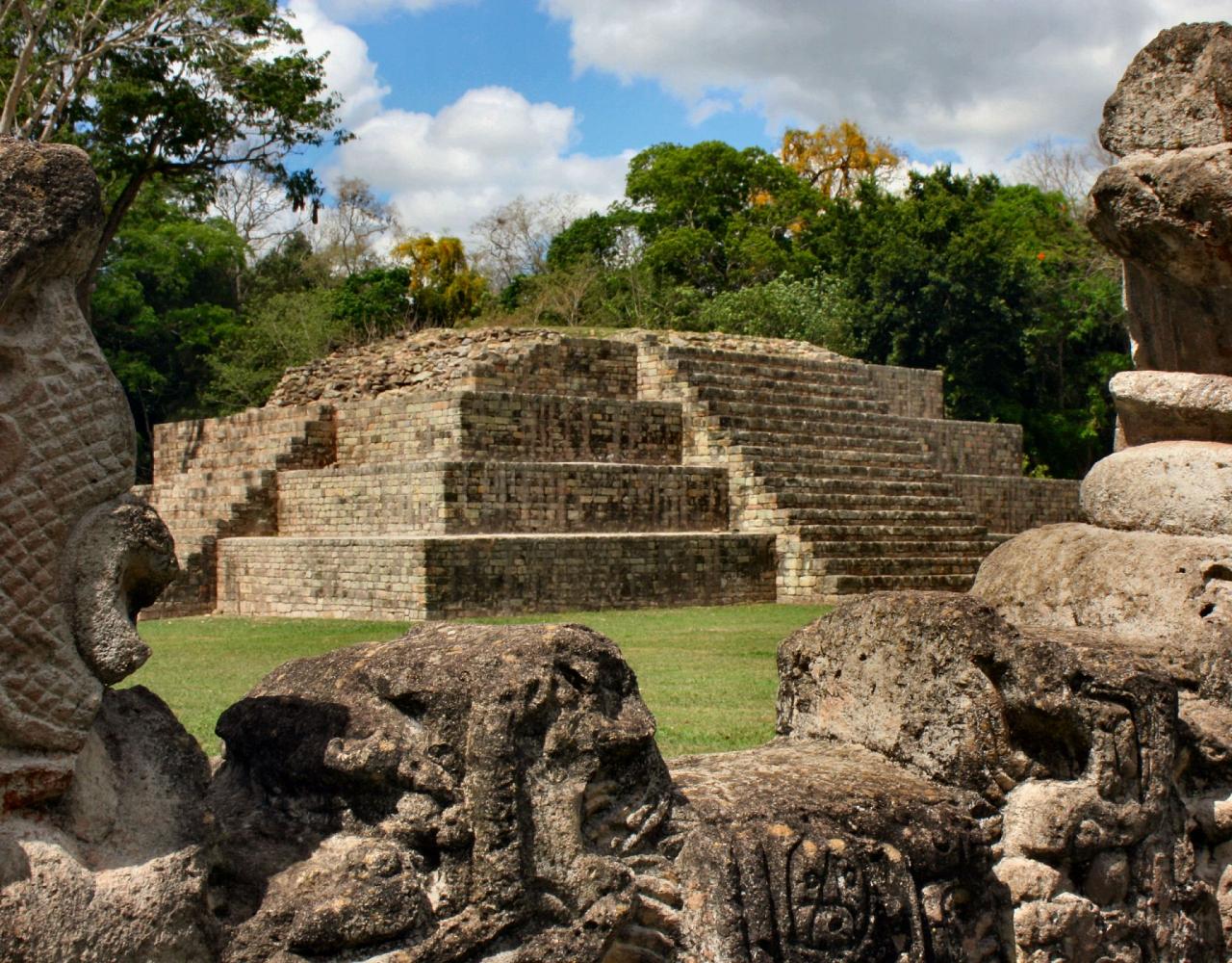 Birding Honduras, Bird Watching Honduras, Central American Birds, Naturalist Journeys, Wildlife Tour, Wildlife Photography, Ecotourism, Specialty Birds, Endemic Birds, Birding Hotspot, Copan Ruins, Maya Ruins