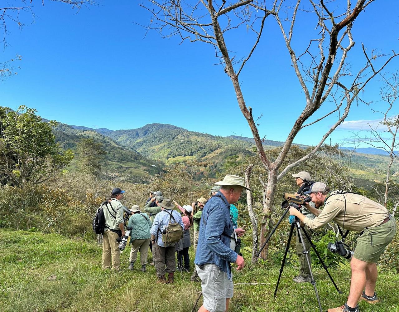 Birding Costa Rica, Costa Rica Nature, Central America, Bird watching Costa Rica, Neotropical Birds, Naturalist Journeys, Wildlife Tour, Wildlife Photography, Ecotourism, Specialty Birds, Birding Hotspot