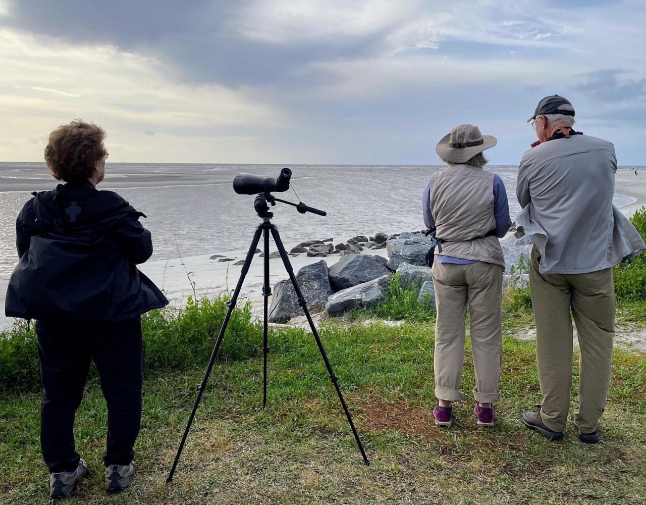 Birding Georgia, Bird Watching Georgia, North American Birds, Naturalist Journeys, Wildlife Tour, Wildlife Photography, Ecotourism, Specialty Birds, Endemic Birds, Birding Hotspot, Migration, Little St. Simons Island