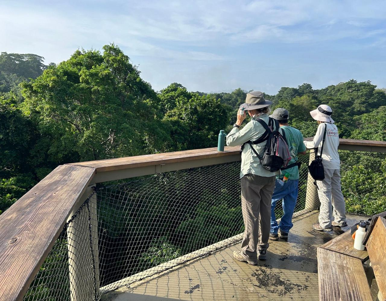 Birding Panama, Bird watching Panama, Panama Nature Tour, Naturalist Journeys, Wildlife Tour, Wildlife Photography, Ecotourism, Specialty Birds, Birding Hotspot