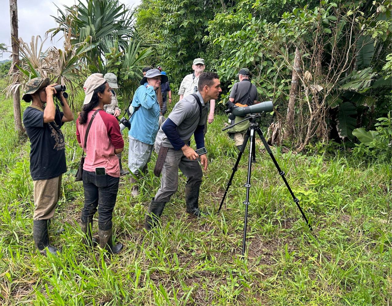 Birding Panama, Bird watching Panama, Panama Nature Tour, Naturalist Journeys, Wildlife Tour, Wildlife Photography, Ecotourism, Specialty Birds, Birding Hotspot