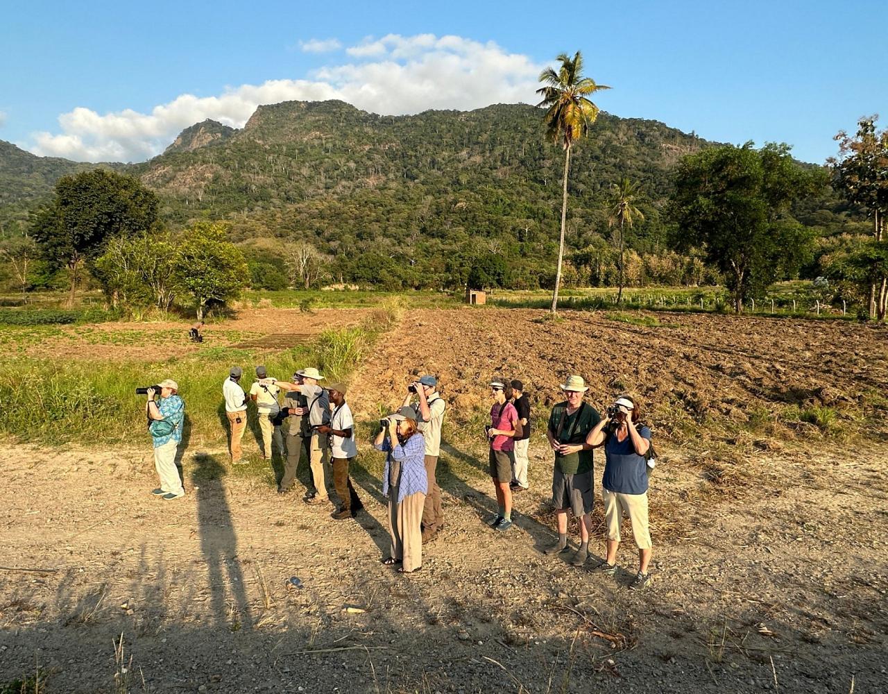 Birding Tanzania, Birding Africa, Southern Tanzania, Naturalist Journeys, Wildlife Tour, Wildlife Photography, Ecotourism, Specialty Birds, Endemic Birds, Birding Hotspot 