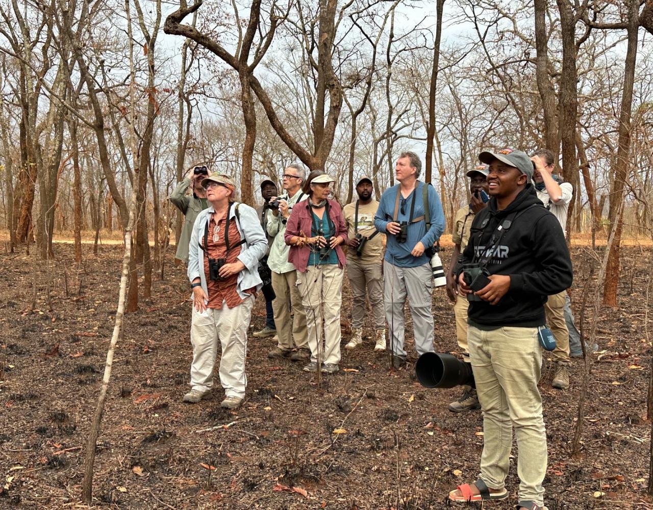 Birding Tanzania, Birding Africa, Southern Tanzania, Naturalist Journeys, Wildlife Tour, Wildlife Photography, Ecotourism, Specialty Birds, Endemic Birds, Birding Hotspot 