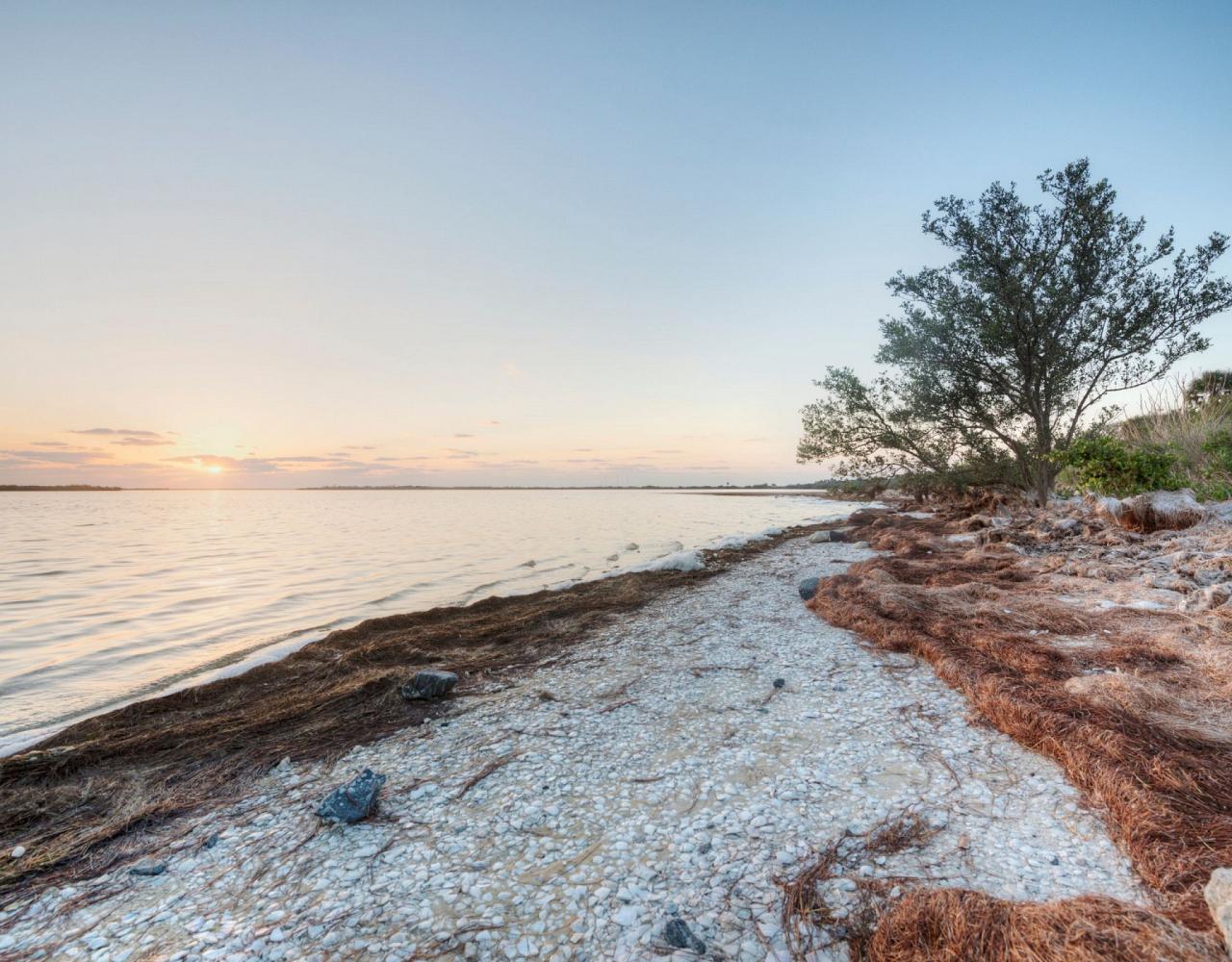 Birding Florida, Bird Watching Florida, North American Birds, Naturalist Journeys, Wildlife Tour, Wildlife Photography, Ecotourism, Specialty Birds, Endemic Birds, Birding Hotspot, Migration, Little St. Simons Island