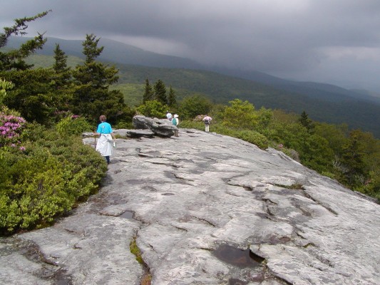 Blue Ridge Bald, Blue Ridge Mountains, Blue Ridge Parkway, Naturalist Journeys Stock