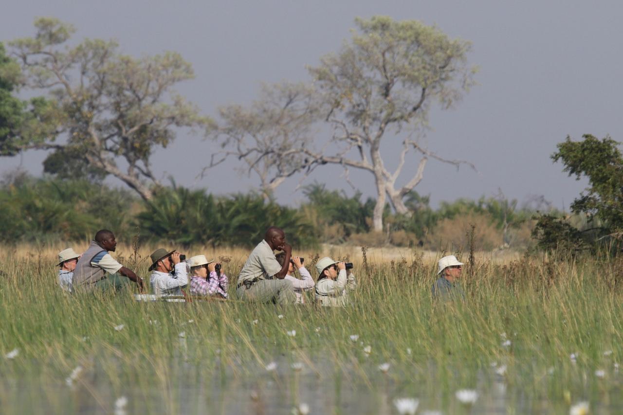 Exploring Mokoro,  Botswana, Africa Safari, Naturalist Journeys, Wildlife Tour, Africa Wildlife