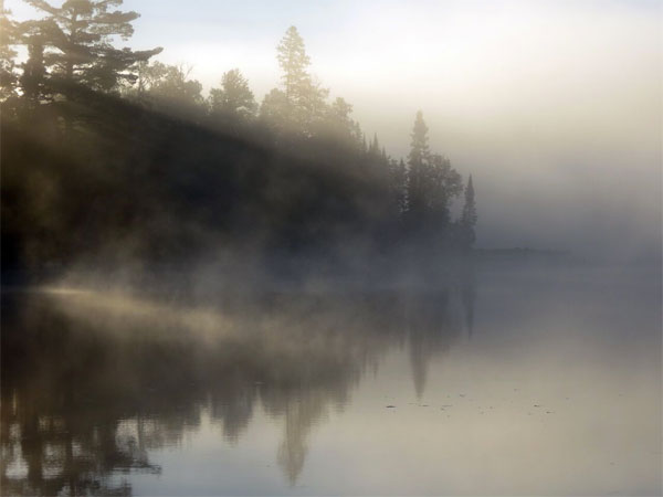 Misty Lake Shore, Lake Superior, Minnesota Boundary Waters, Naturalist Journeys 
