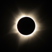 solar eclipse, spain, birding & nature